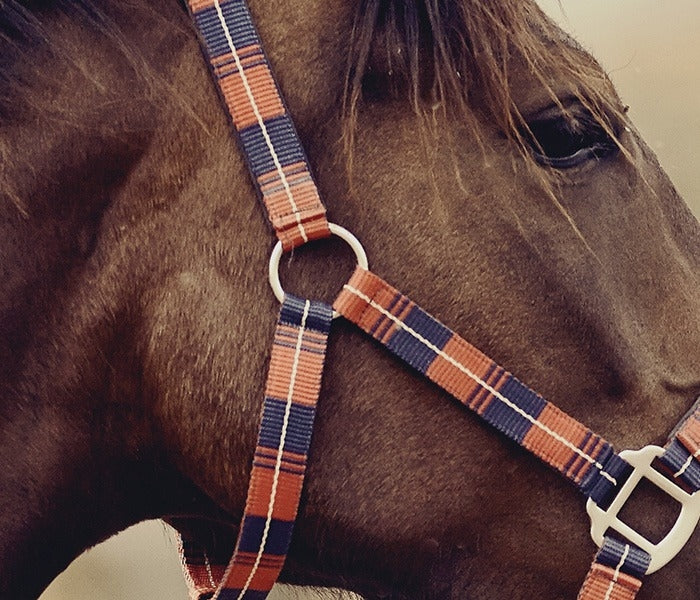 O-Rings - Steel Nickel Plated Horse Harness