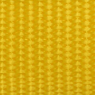 Polypropylene Budget Webbing 605