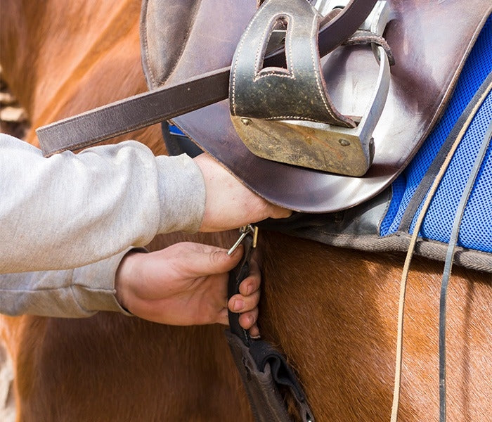 Surcingles - Steel Nickel Plated Horse Harness