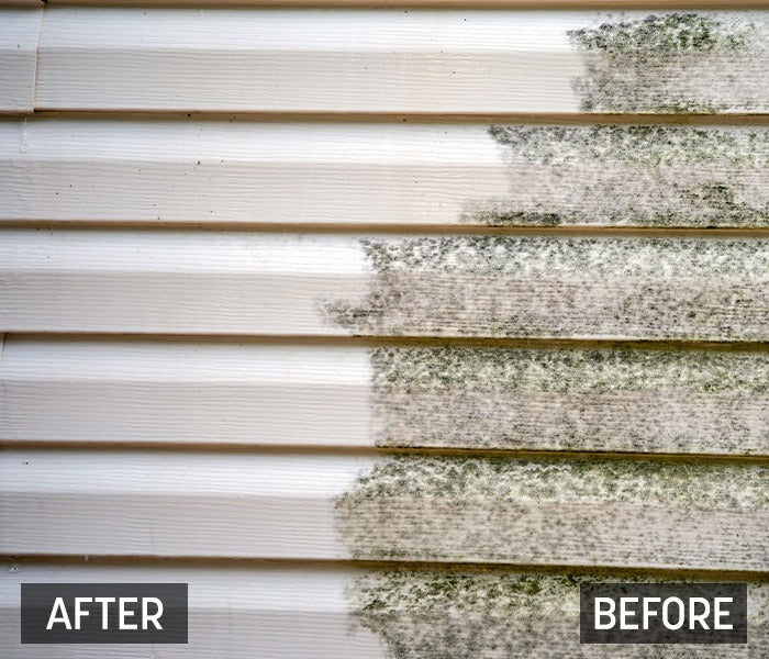 Wet & Forget - Moss & Mould Remover Wall