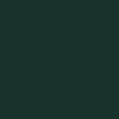 Neoprene Rubber