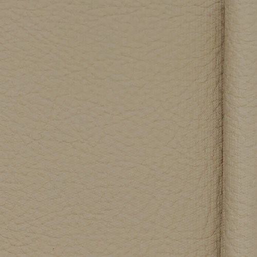 MORBERN EUROPE Prodigy