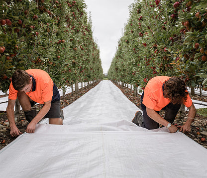 Solcor Bungee Shock cord Agriculture Row