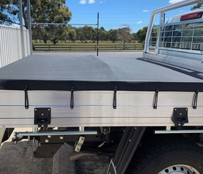 Ford Shock Cord Loop Ute