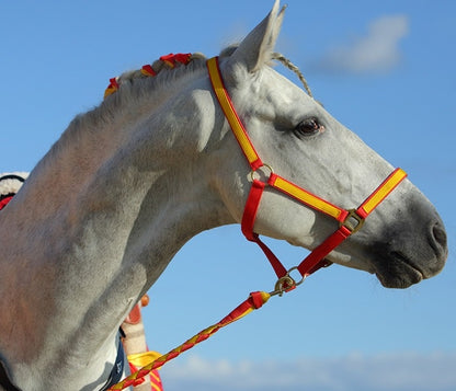 General Purpose Polyester Webbing 115