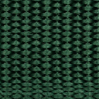 Polypropylene Budget Webbing 605