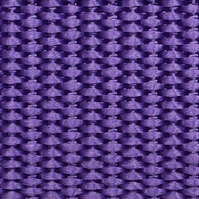 Polypropylene Budget Webbing 605