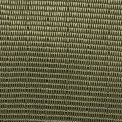 Seat Belt Webbing 105